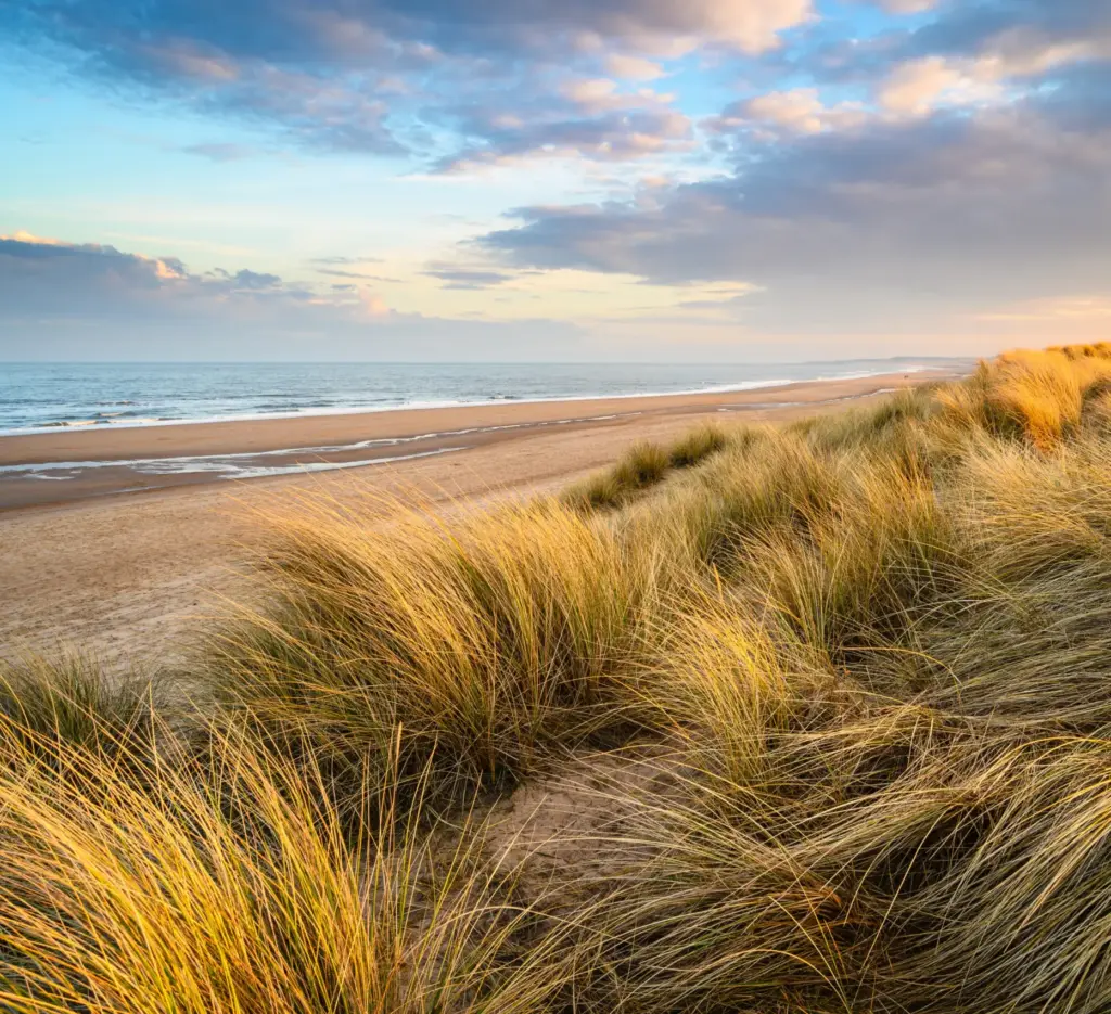 Picturesque beach